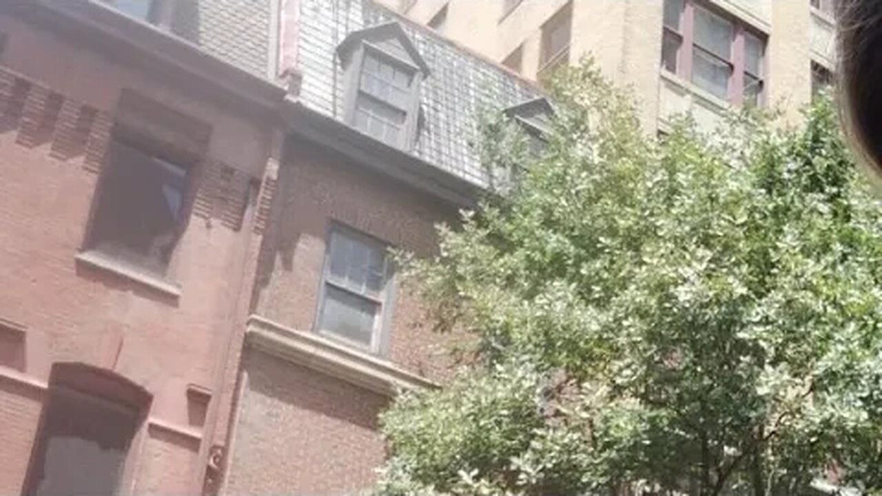 Slowly Venturing Down To Dog Walk Scooter Wishes 🛴