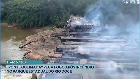 Pingo d’água: "Ponte queimada" pega fogo após incêndio no Parque Estadual do Rio Doce.