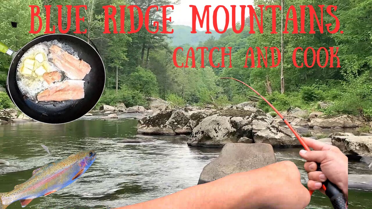 Rainbow Trout Catch and Cook in the Blue Ridge Mountains.!!!!!