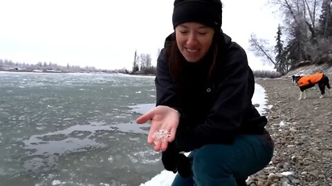 Cold $ Weather at the Cabin Life in Alaska