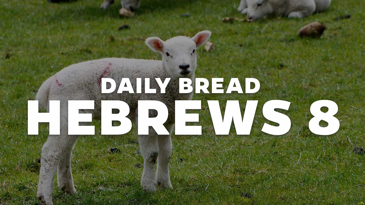 Daily Bread: Hebrews 8