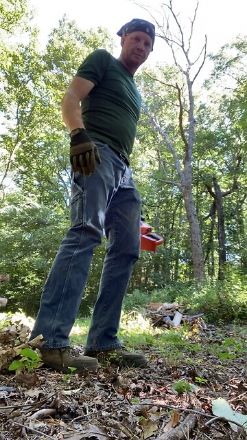 Cutting Down Another Dead Tree