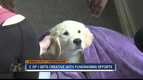 C of I gets creative with fundraising efforts... using a "$30,000" Golden Retriever puppy