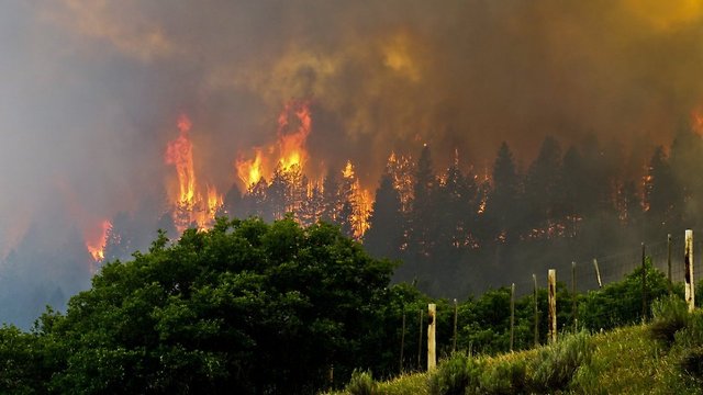 Two Fires Are Tearing Through Parts Of New Mexico And Colorado