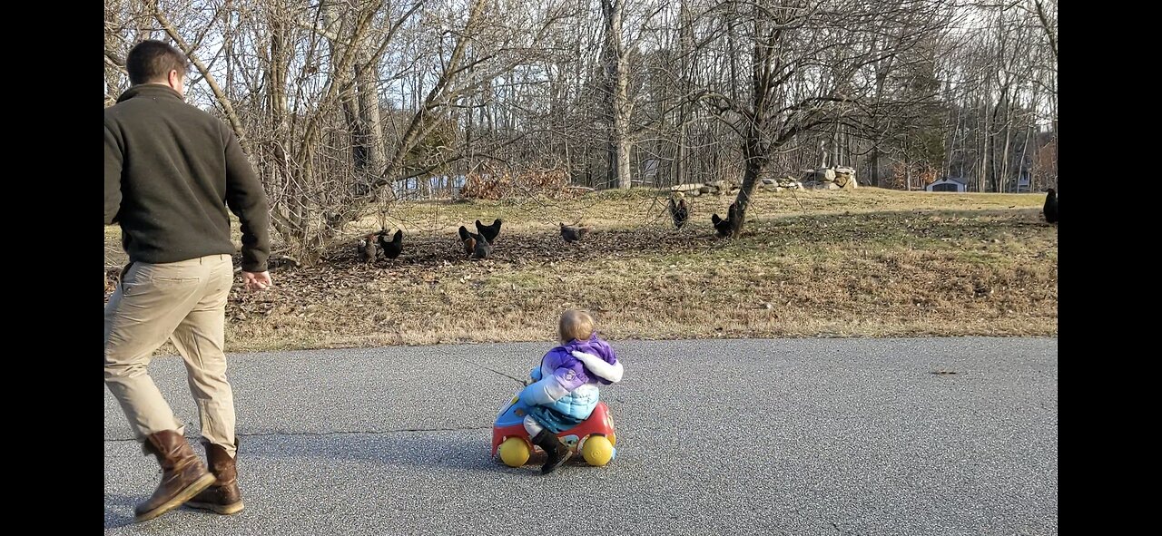 Sunday on the Homestead