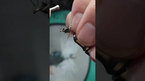 A must have dry fly