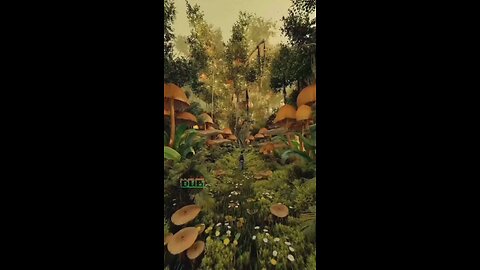 Tripping high on visuals