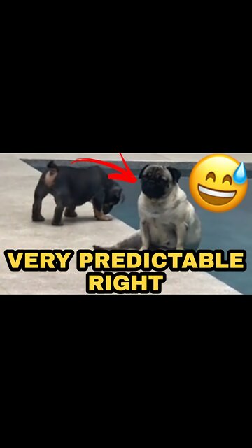 VERY PREDICTABLE RIGHT😅😅😅