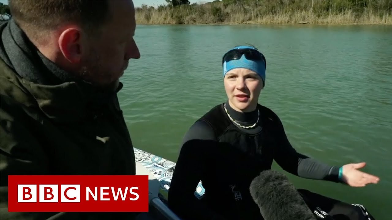 Thousands of Ukrainians trapped in Turkey following Russia's invasion of Ukraine - BBC News