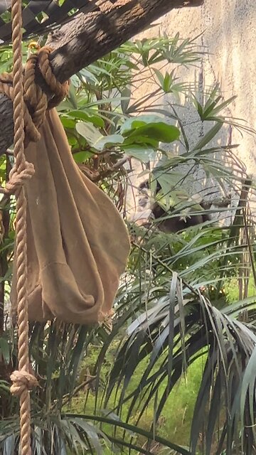 Hey You, You See Me?