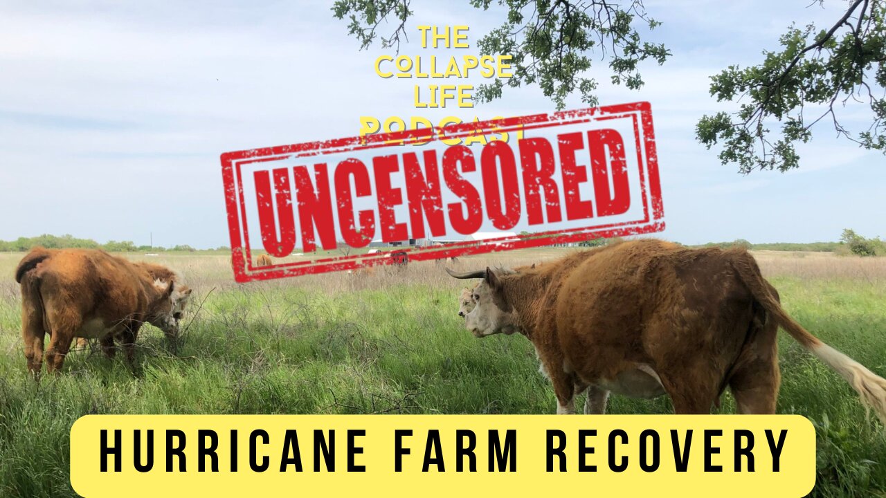 Joel Salatin reveals how to rebuild farms after Hurricane Helene and prepare for the future