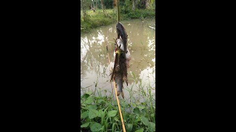 The fun of fishing in the pond behind the house