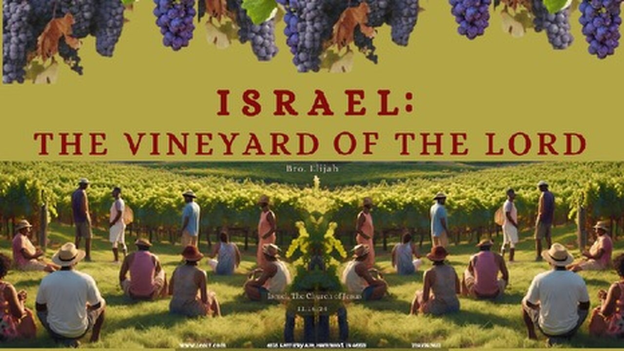 ISRAEL: THE VINEYARD OF THE LORD