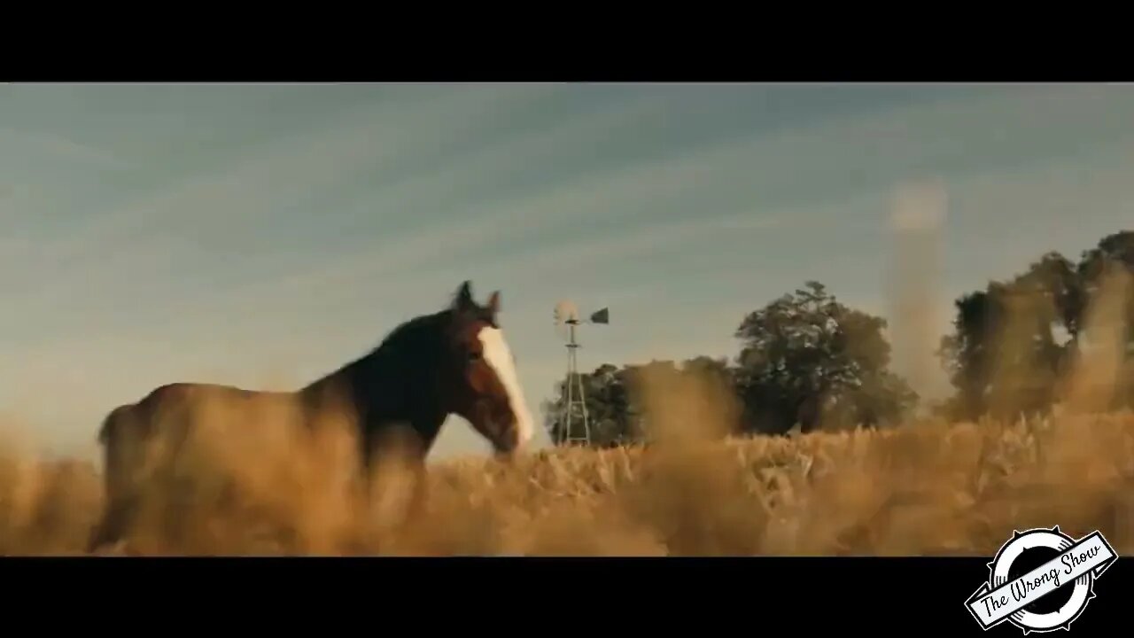 Budweiser: Let me tell you a story Parody - The Wrong Show edition