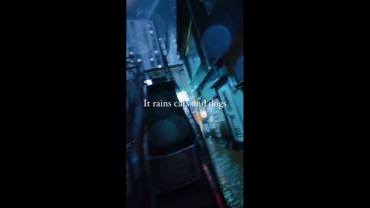 it's rains cats and dogs. Night City from Japan