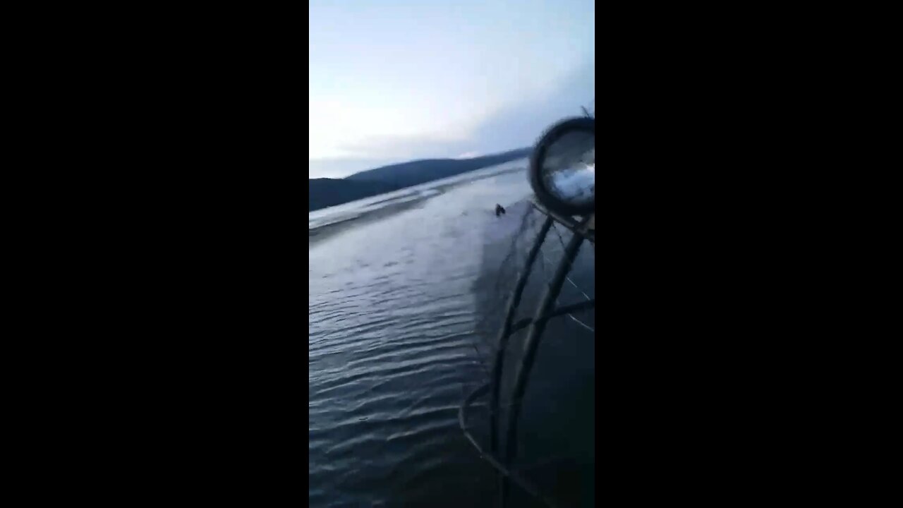 Water Skiing behind an Airboat!