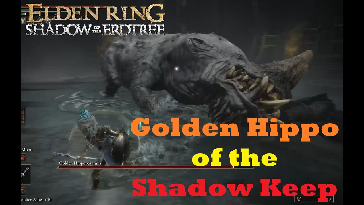 Golden Hippopotamus | Shadow Keep | Elden Ring Shadow of the Erdtree