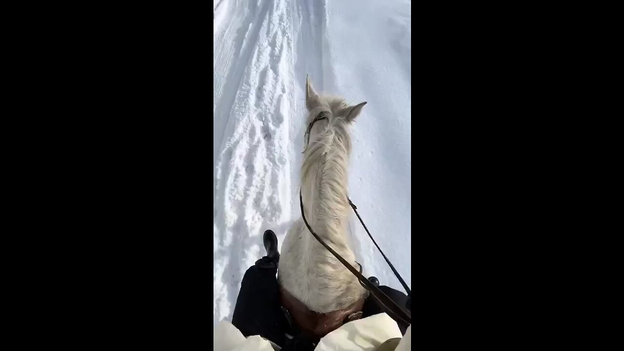 Hourse riding in snow