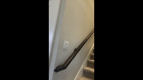 Just a dad trying to leave the house with daughters