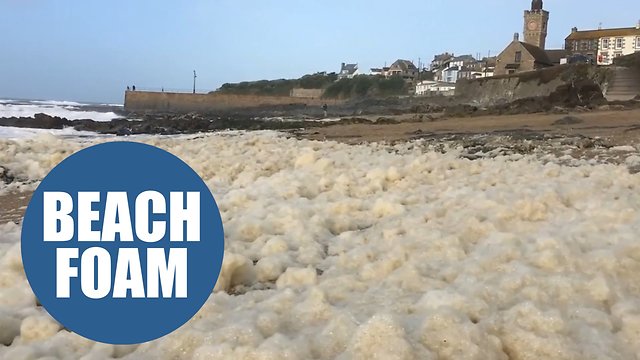 Hurricane Ophelia transformed a popular tourist beach into a white wonderland