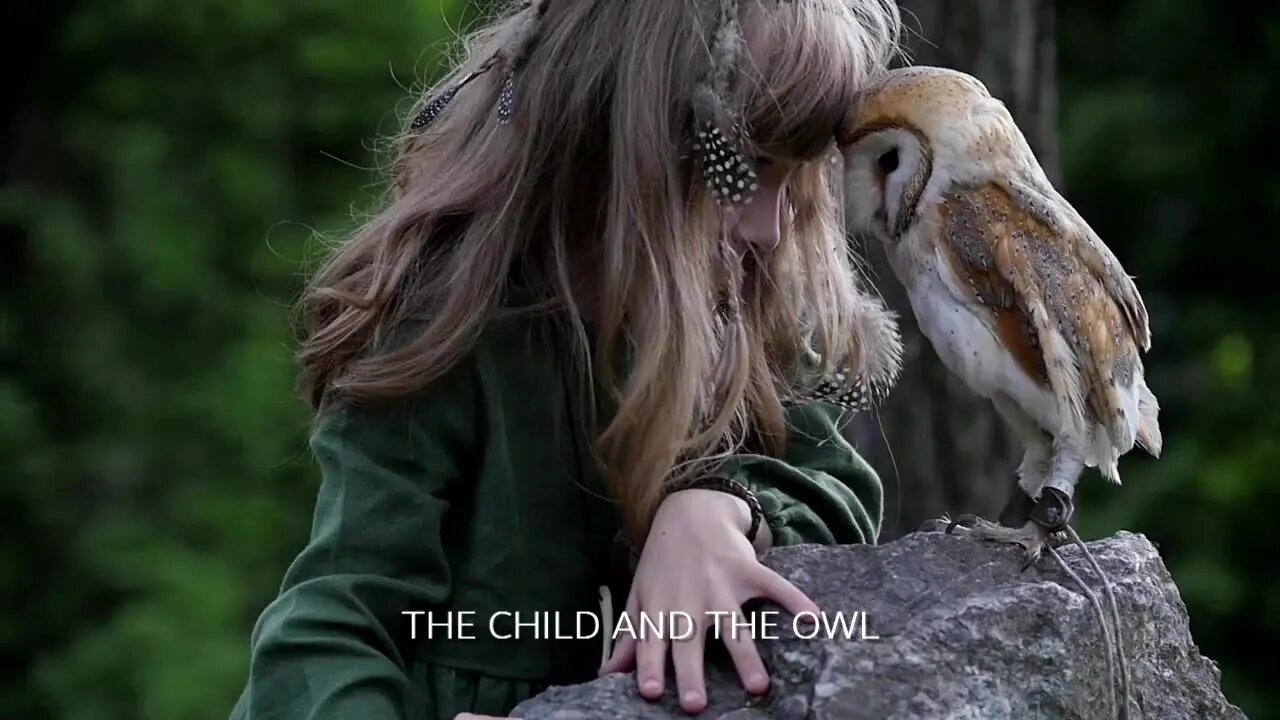 THE CHILD AND THE OWL by Cynthia A. Silk