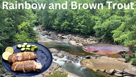 Fishing Mountain Stream for Rainbow and Brown Trout. Catch and Cook.!!