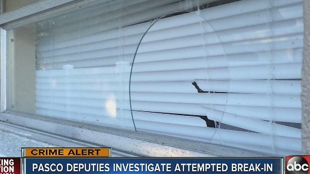 Attempted break-in worries mother of special needs child