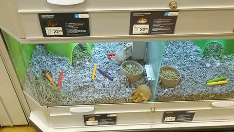 pets Mart @usa