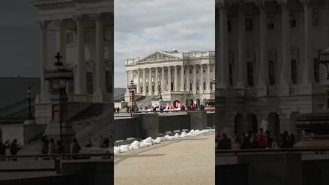 1/17/22 Nancy Drew in DC- Video 1- Capitol this Morning- Stop Executions Protest- WTH?