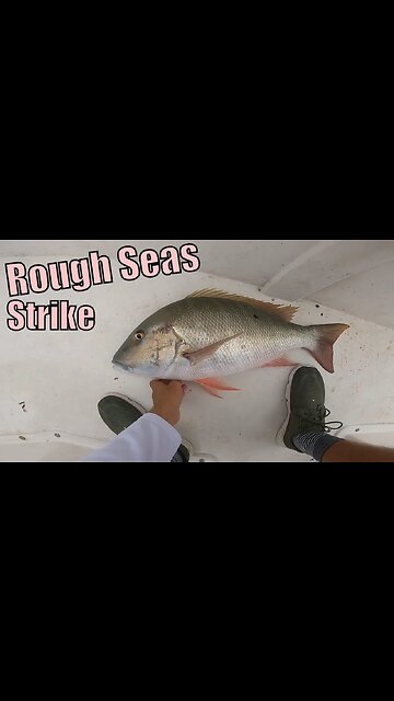 Rough seas this weekend trying to swordfish