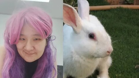 FLORIDA WHITE RABBIT