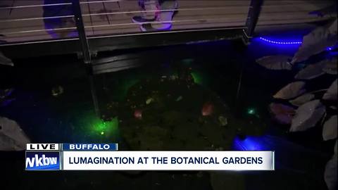 Lumagination 2018 takes you under the sea