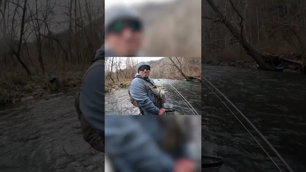 3 BIG Brown Trout in 60 Seconds! #shorts #fishing