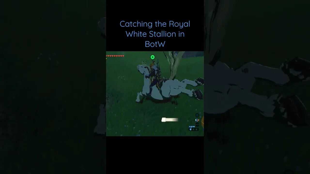 Royal White Stallion - Breath of the Wild #shorts #botw