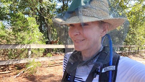 Hiking, Tripping, Introvert travel Sightseeing Roadtrip #solotravel #travelvideos #minivanlife