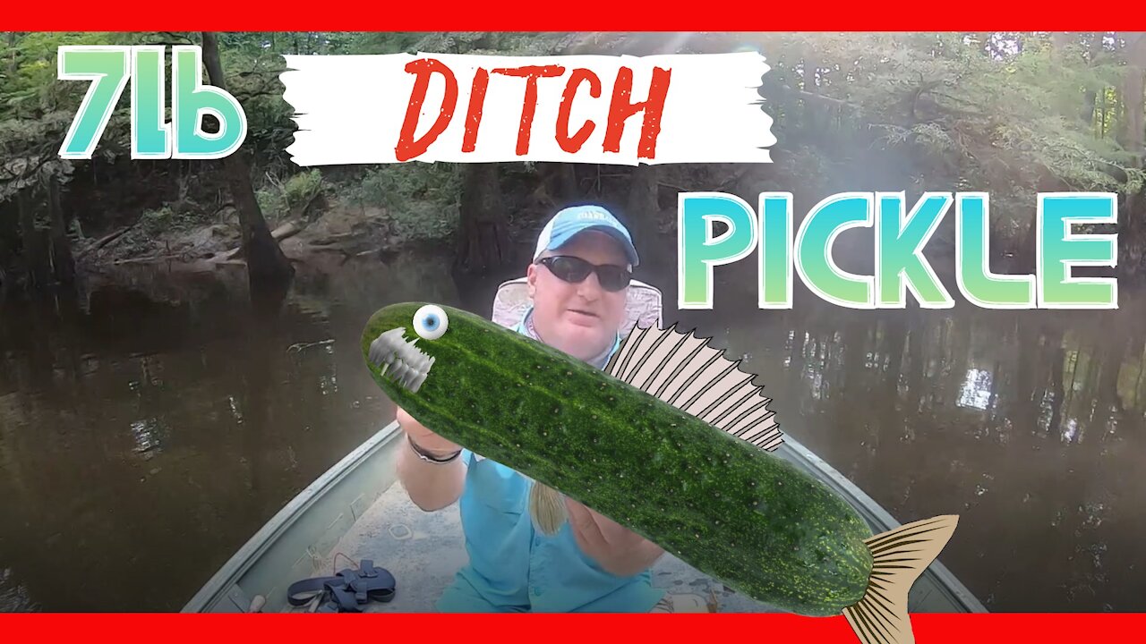 7lb Ditch Pickle