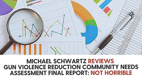 Michael Schwartz review Gun Violence Reduction Community Needs Assessment Final Report: NOT HORRIBLE