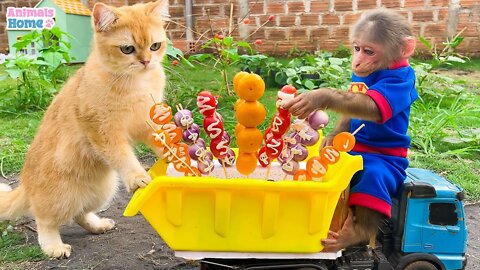 BiBi harvests fruit to make fruit candy for Ody cat