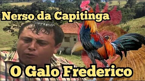 Escolinha do Professor Raimundo; Nerso da Capitinga, o galo Frederico. 🐓