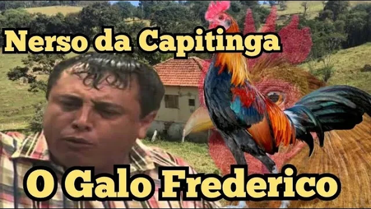 Escolinha do Professor Raimundo; Nerso da Capitinga, o galo Frederico. 🐓