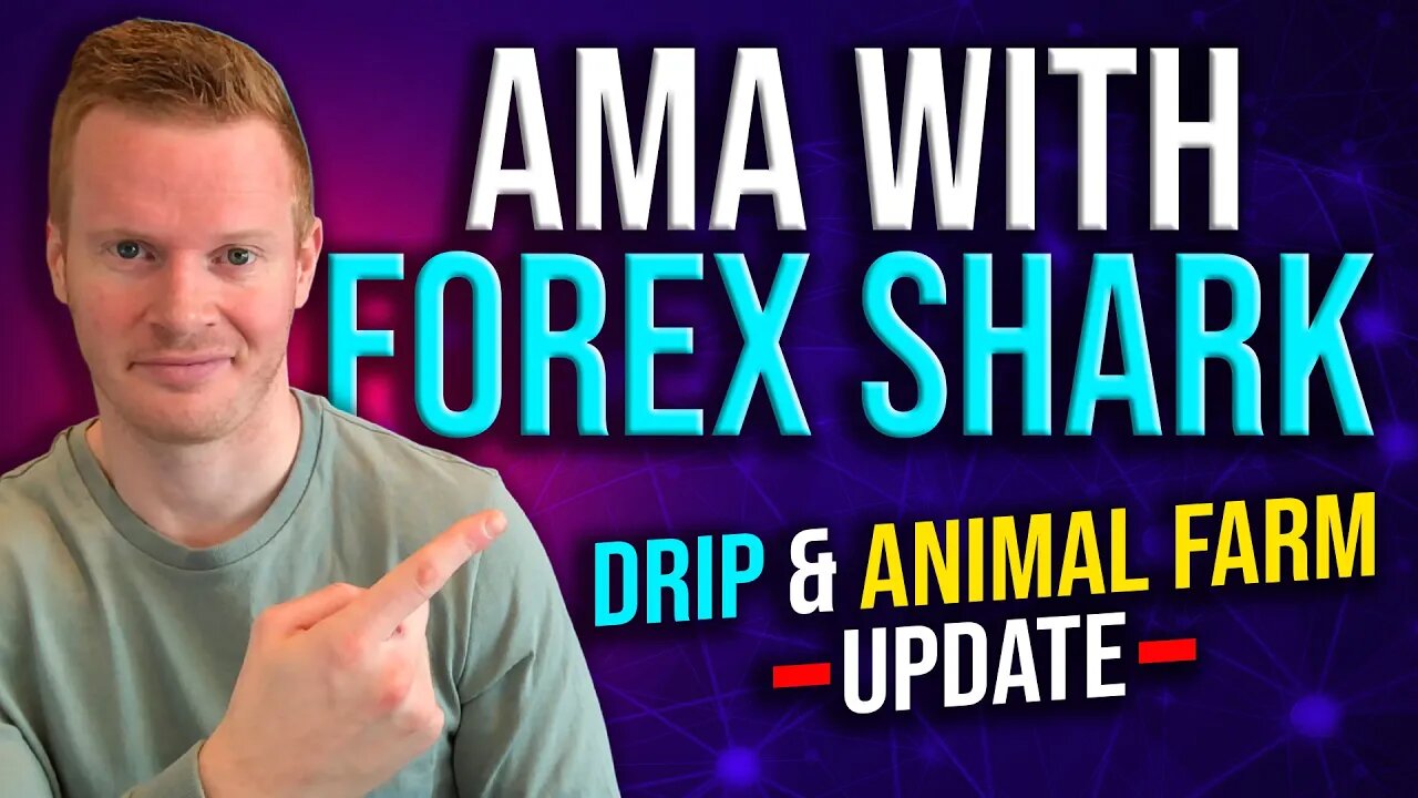 Animal Farm Update! AMA With Founder Forex Shark. My strategy, currently making $250/day