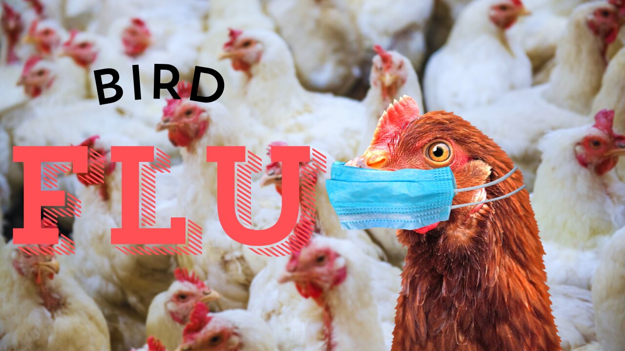 PREPARE for the BIRD FLU! New covid-like lockdowns! | Arresting citizens for speaking out!