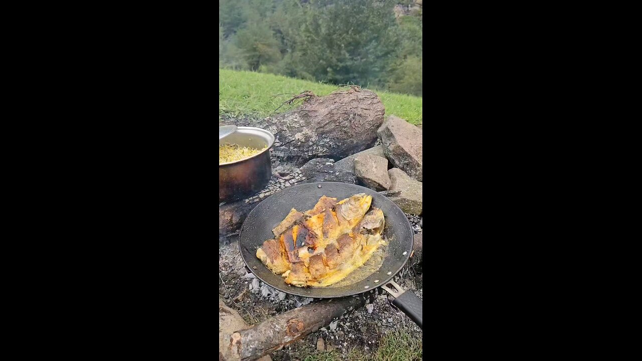 Do you like fish with rice?