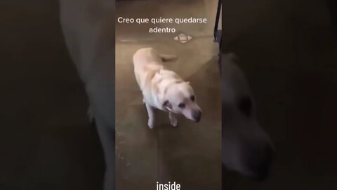 Wait until the end🤣
