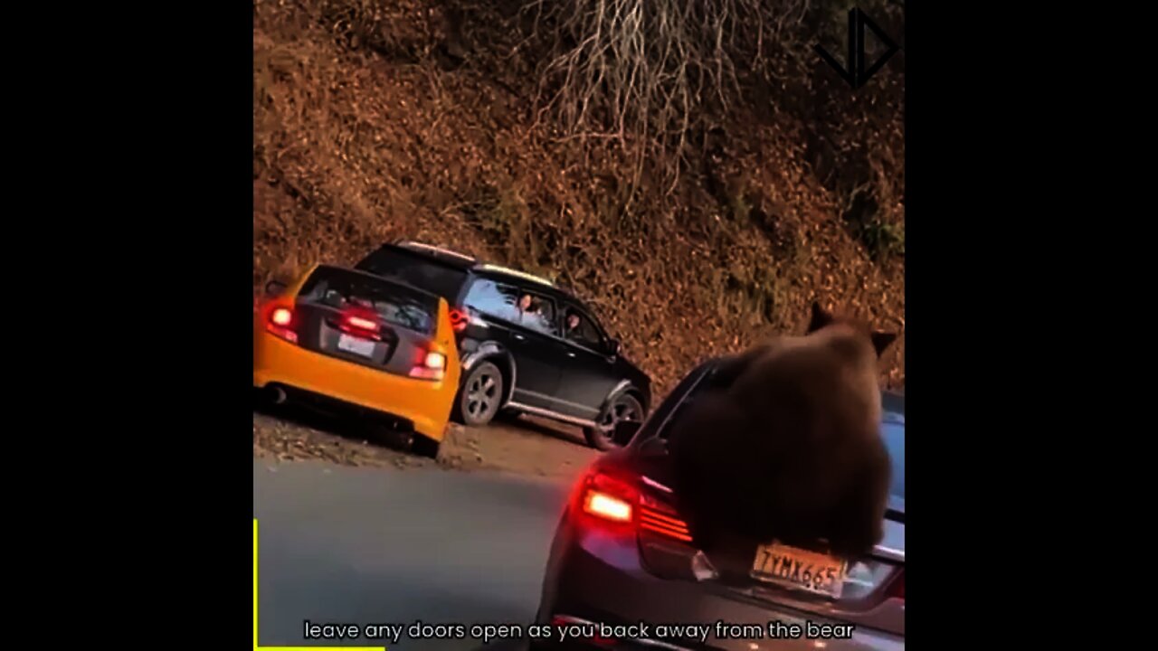 Why was I nervous the ENTIRE video