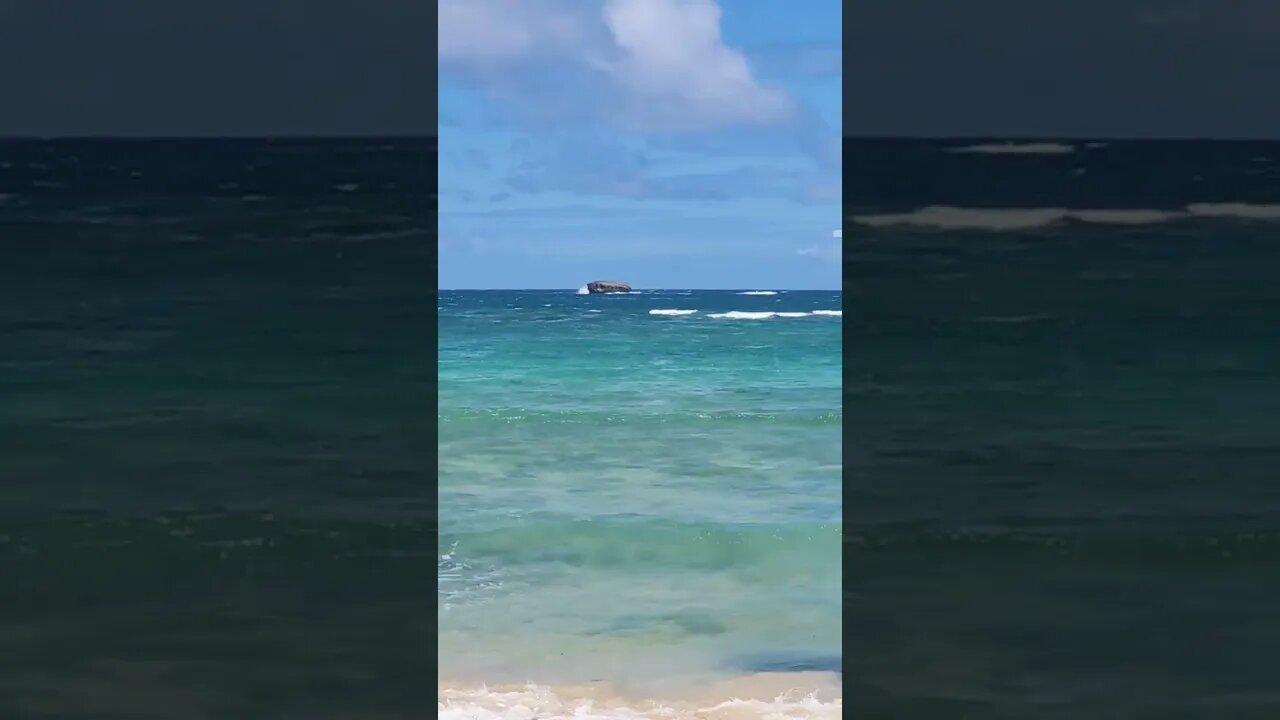 paradise #Hawaii #NorthShore