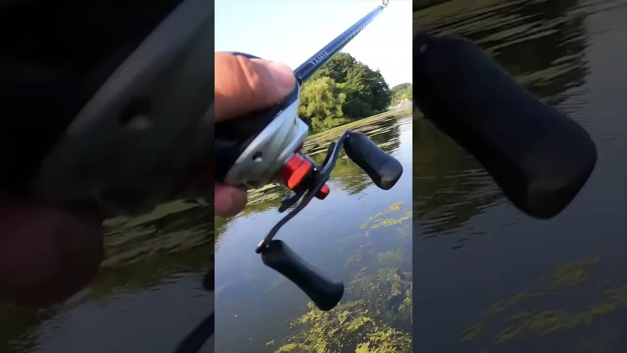 Big Bass EXPLODES Through Mat to EAT My FROG!