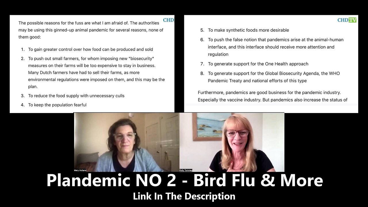 Plandemic NO 2 - Bird Flu & More