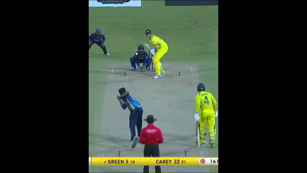 funy cricket