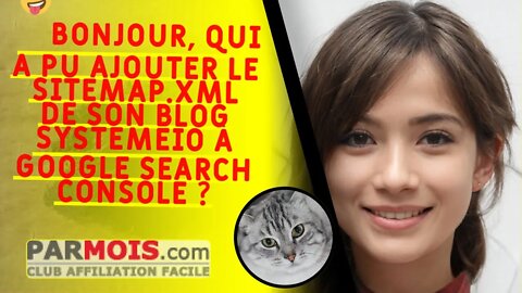 🤪 Bonjour, qui a pu ajouter le sitemap.xml de son blog SystemeIO à Google Search Console ?